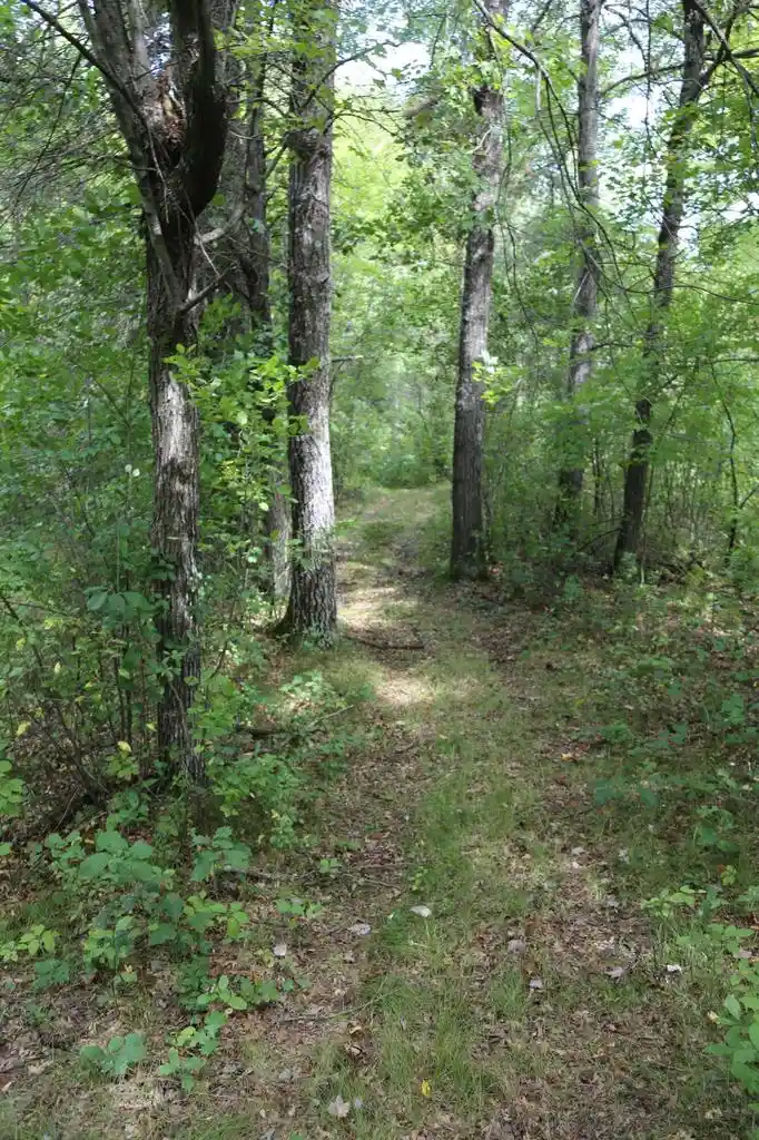 Photo 2 of Sale Pending at 12249 Firefly Rd, Sparta, WI 54656 | MLS# 1979295 | Listing updated on 2026-09-24