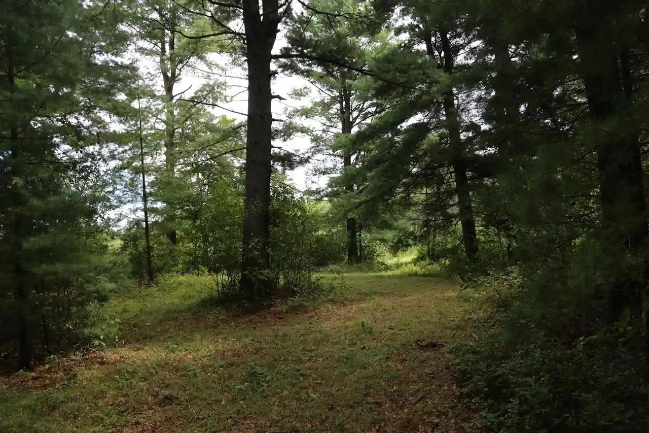 Photo 3 of Sale Pending at 12249 Firefly Rd, Sparta, WI 54656 | MLS# 1979295 | Listing updated on 2026-09-24