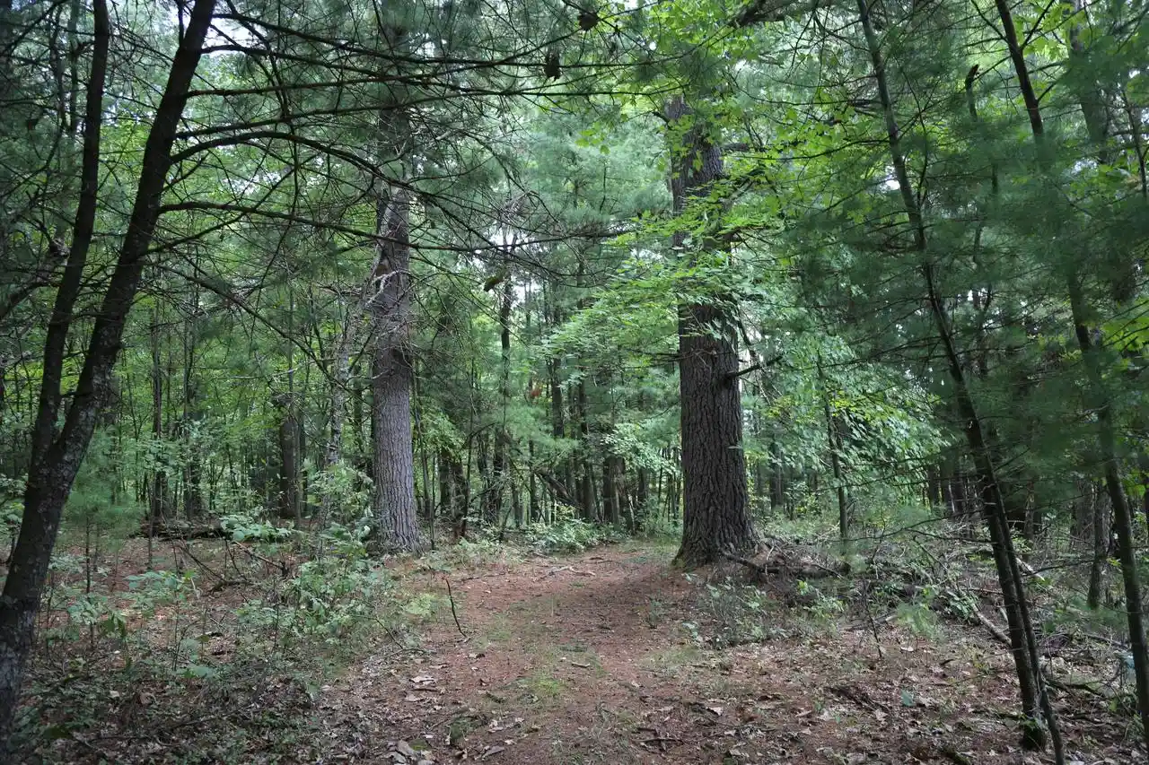 Photo 3 of Sale Pending at 12249 Firefly Rd, Sparta, WI 54656 | MLS# 1979295 | Listing updated on 2026-09-24