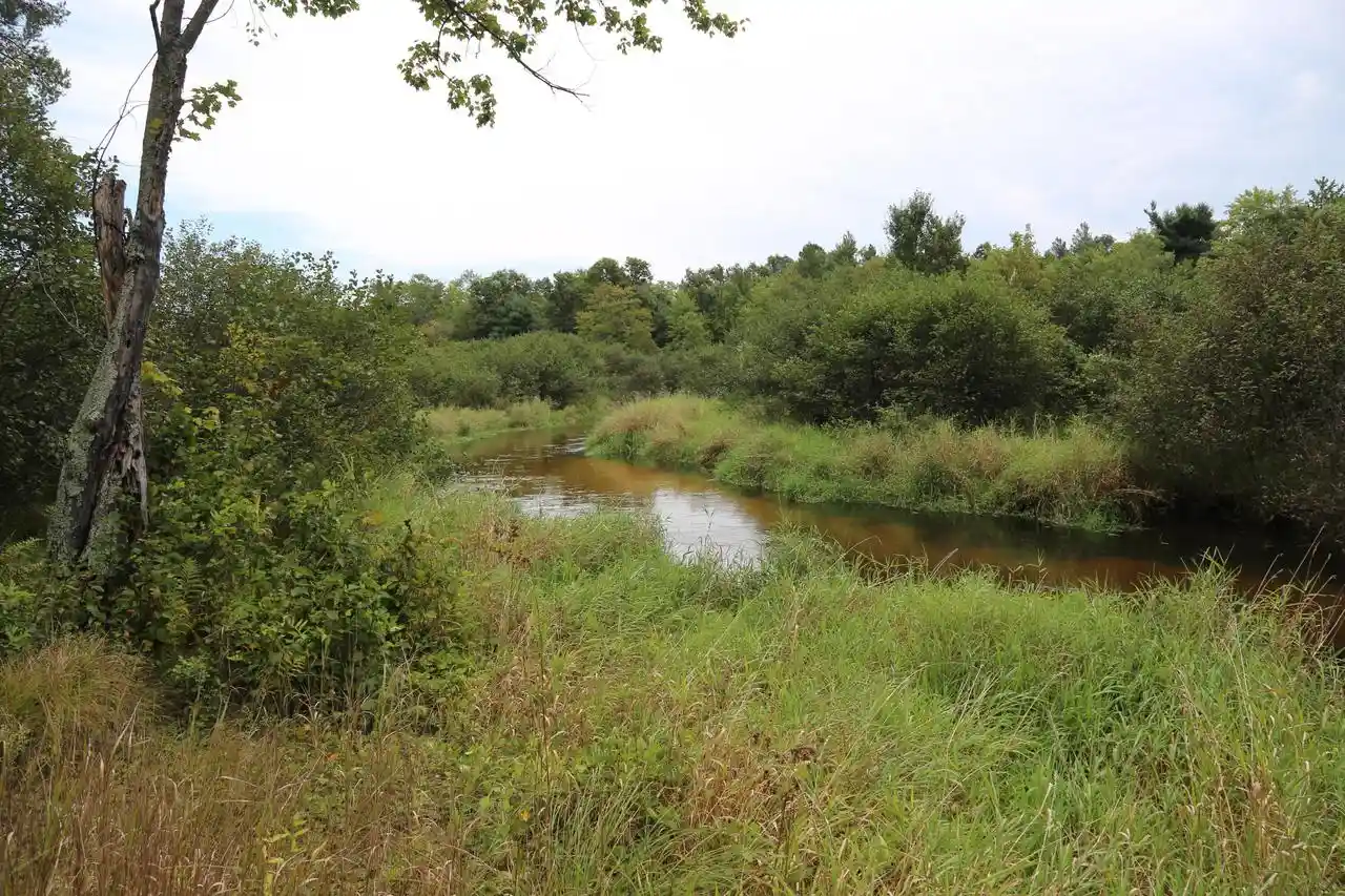 Photo 4 of Sale Pending at 12249 Firefly Rd, Sparta, WI 54656 | MLS# 1979295 | Listing updated on 2026-09-24