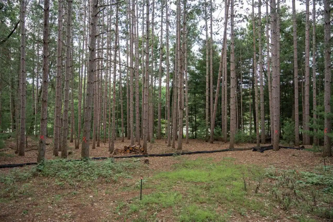 Photo 3 of Land for sale at W1519 Rainbow Ln, Wisconsin Dells, WI 53965 | MLS# 2032091 | Listing updated on 2026-09-17