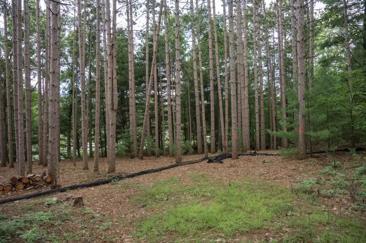 Photo 4 of Land for sale at W1519 Rainbow Ln, Wisconsin Dells, WI 53965 | MLS# 2032091 | Listing updated on 2026-09-17