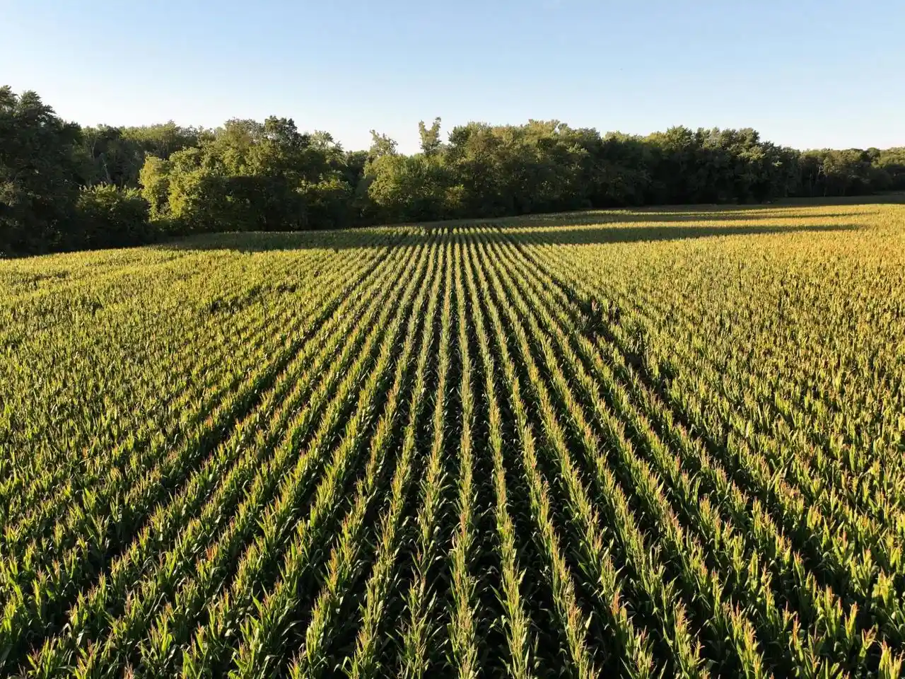 Photo 3 of Land for sale at 2775 M/l Acres N Us Hwy 51, Janesville, WI 53545 | MLS# 2032095 | Listing updated on 2026-09-13
