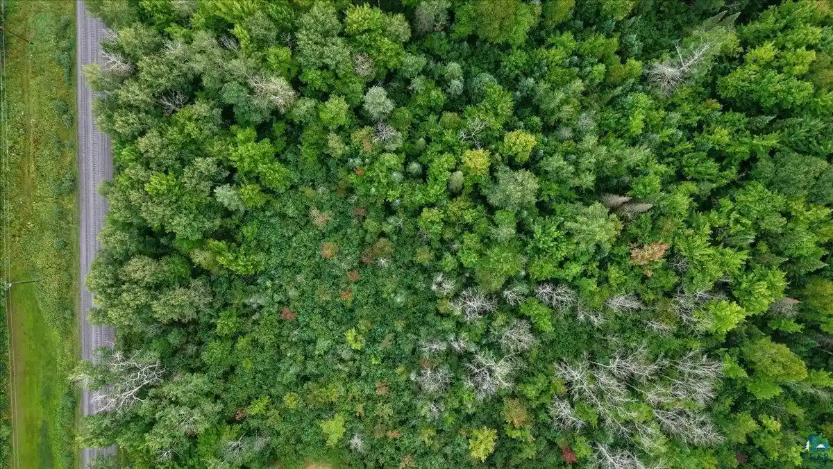 Photo 4 of Land for sale at 6700 E Clara Barton Rd, South Range, WI 54874 | MLS# 6127827 | Listing updated on 2026-09-05