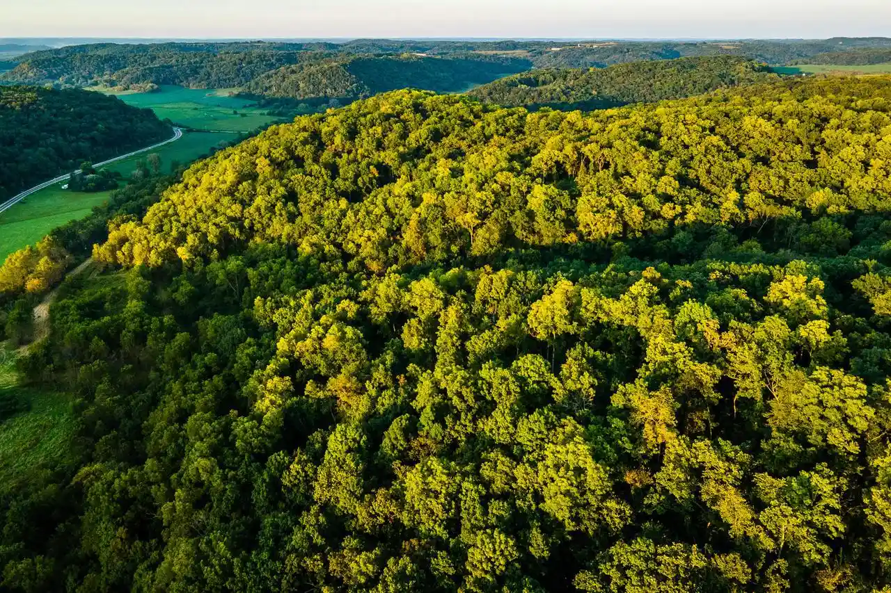 Photo 1 of Land for sale at 6833 State Rd 80, Avoca, WI 53506 | MLS# 1979479 | Listing updated on 2026-10-08