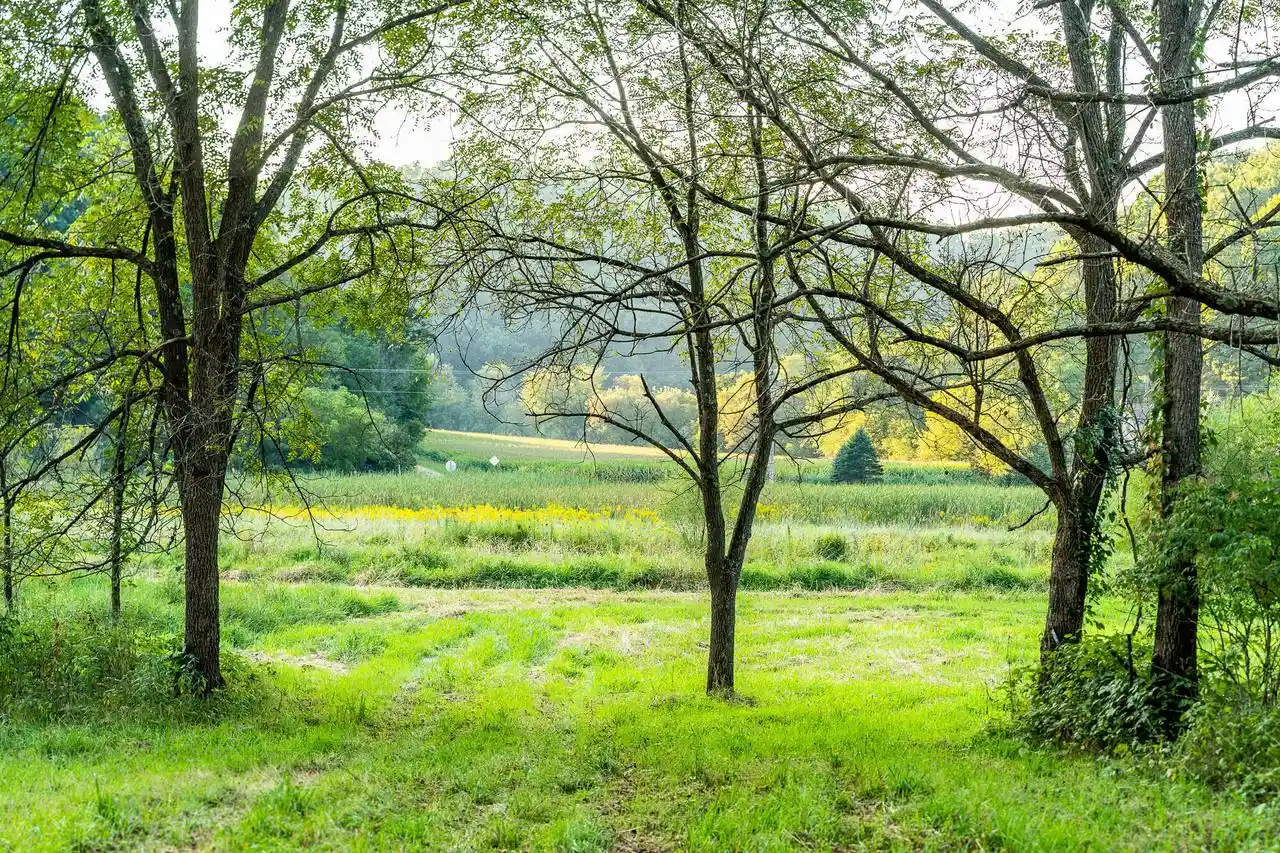 Photo 2 of Land for sale at 6833 State Rd 80, Avoca, WI 53506 | MLS# 1979479 | Listing updated on 2026-10-08