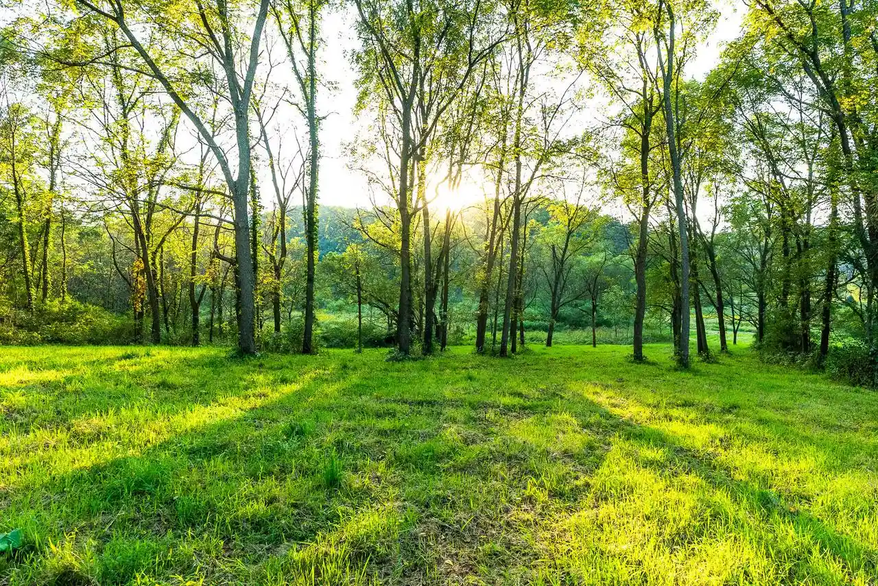 Photo 3 of Land for sale at 6833 State Rd 80, Avoca, WI 53506 | MLS# 1979479 | Listing updated on 2026-10-08