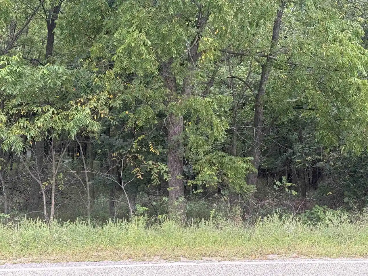 Photo 1 of Sale Pending at County E Rd, Pine River, WI 54965 | MLS# 50332244 | Listing updated on 2026-10-09
