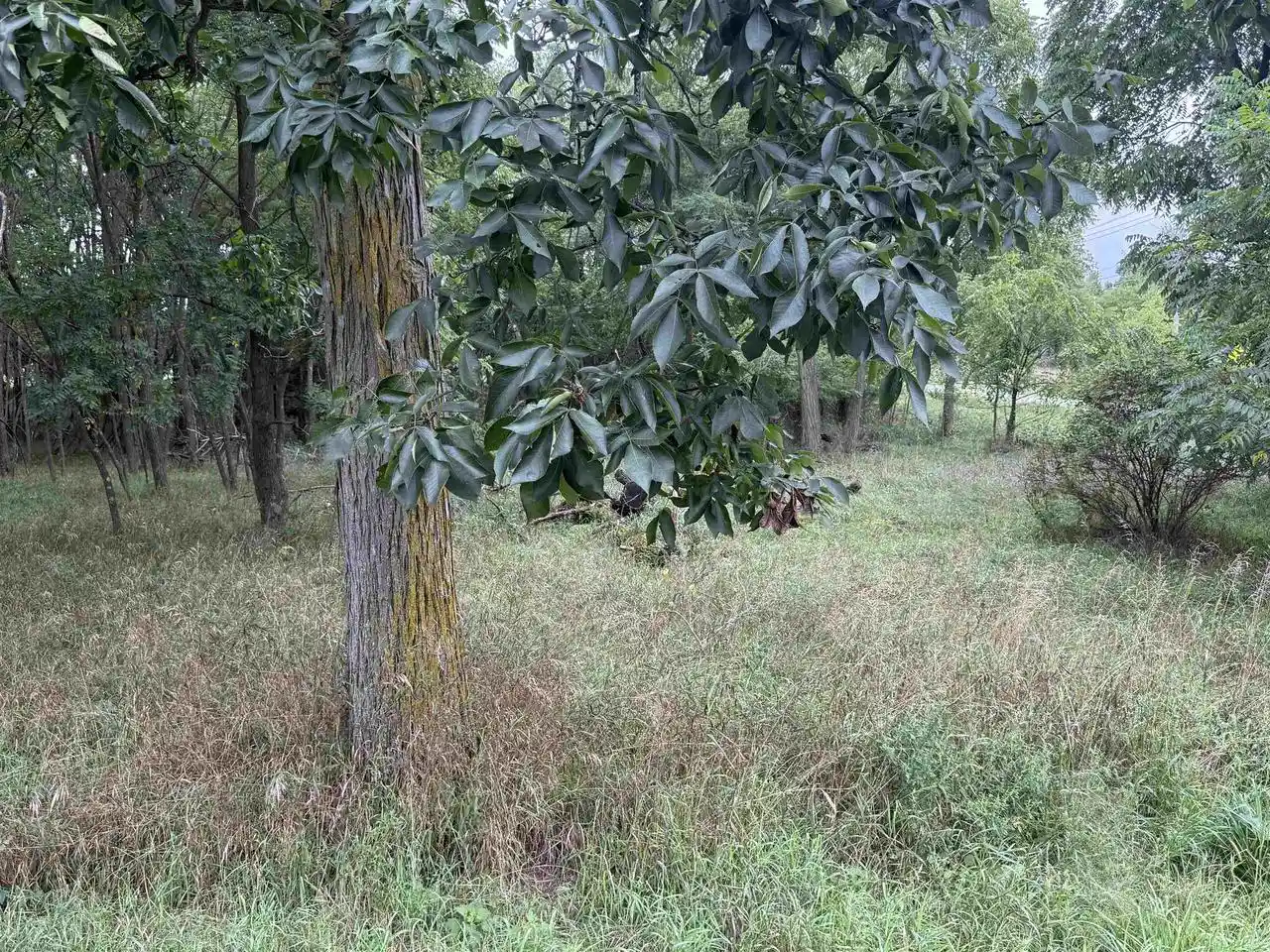 Photo 2 of Sale Pending at County E Rd, Pine River, WI 54965 | MLS# 50332244 | Listing updated on 2026-10-09