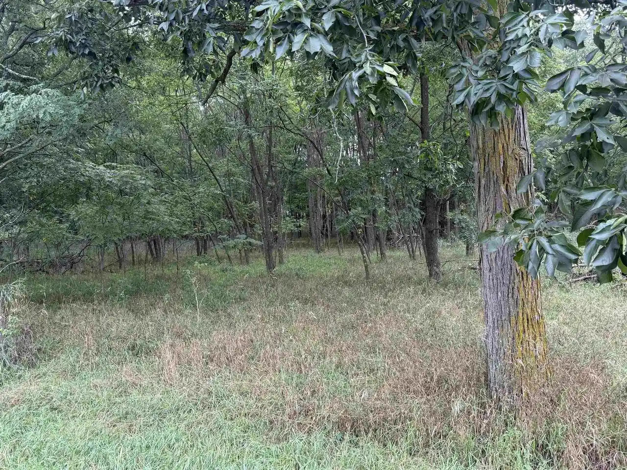 Photo 3 of Sale Pending at County E Rd, Pine River, WI 54965 | MLS# 50332244 | Listing updated on 2026-10-09