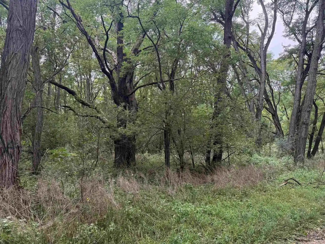 Photo 4 of Sale Pending at County E Rd, Pine River, WI 54965 | MLS# 50332244 | Listing updated on 2026-10-09