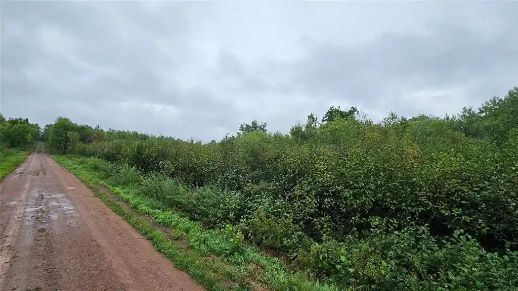 Photo 1 of Land for sale at 0 Anderson Ln, Radisson, WI 54821 | MLS# 1604923 | Listing updated on 2026-09-09