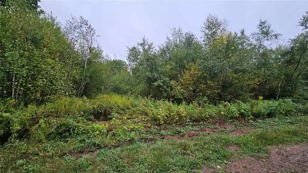 Photo 2 of Land for sale at 0 Anderson Ln, Radisson, WI 54821 | MLS# 1604923 | Listing updated on 2026-09-09