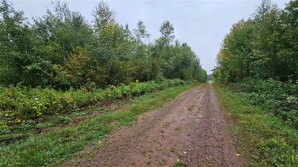 Photo 4 of Land for sale at 0 Anderson Ln, Radisson, WI 54821 | MLS# 1604923 | Listing updated on 2026-09-09