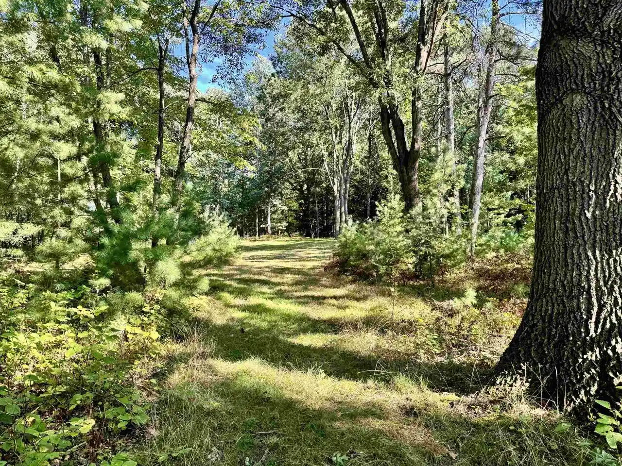 Photo 1 of Land for sale at Maplewood Ln, Sobieski, WI 54171 | MLS# 50332278 | Listing updated on 2026-09-18