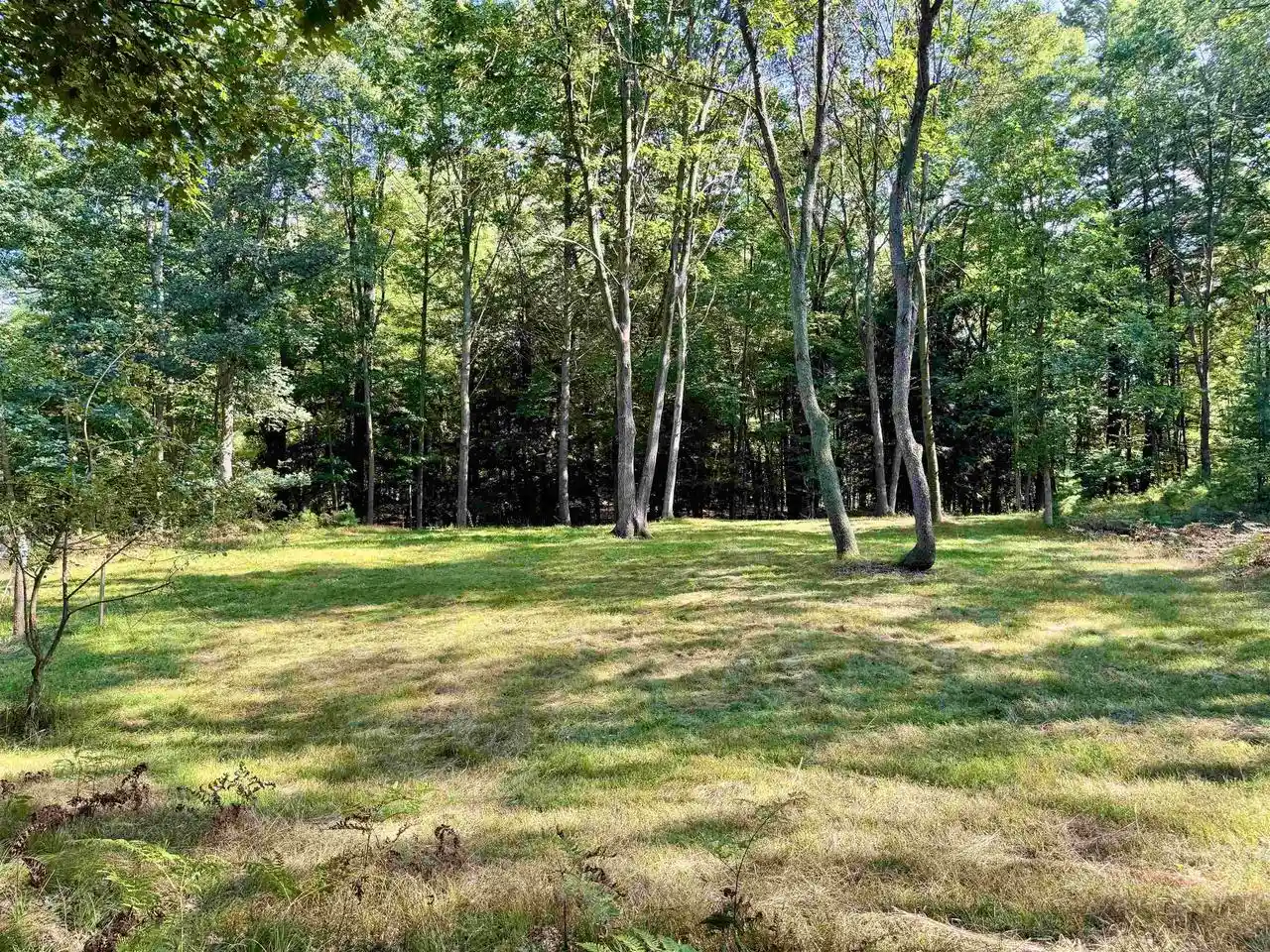 Photo 2 of Land for sale at Maplewood Ln, Sobieski, WI 54171 | MLS# 50332278 | Listing updated on 2026-09-18
