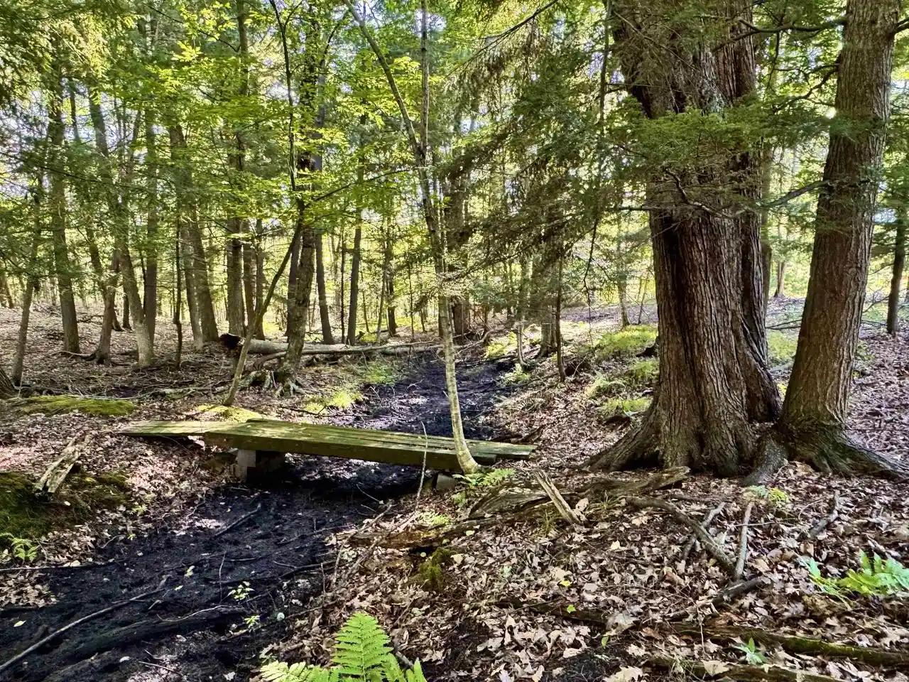 Photo 3 of Land for sale at Maplewood Ln, Sobieski, WI 54171 | MLS# 50332278 | Listing updated on 2026-09-18
