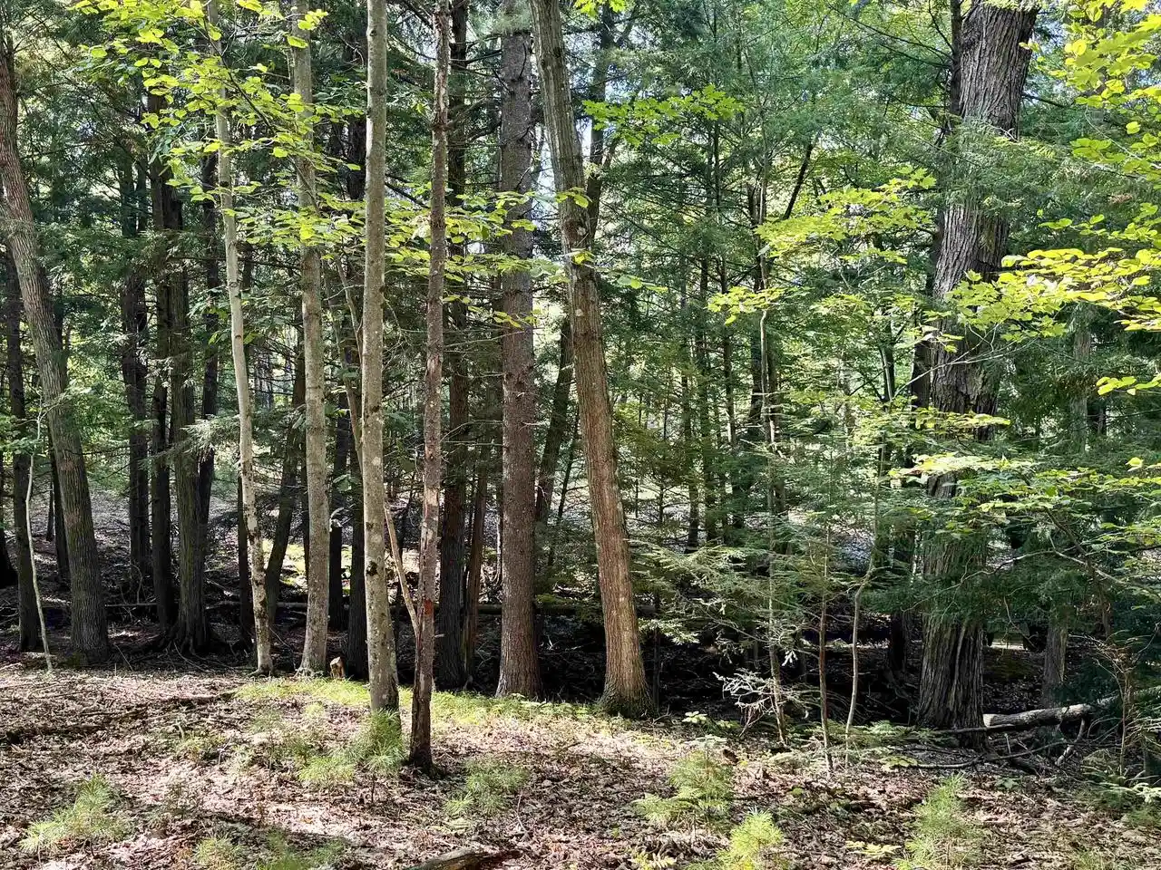 Photo 4 of Land for sale at Maplewood Ln, Sobieski, WI 54171 | MLS# 50332278 | Listing updated on 2026-09-18
