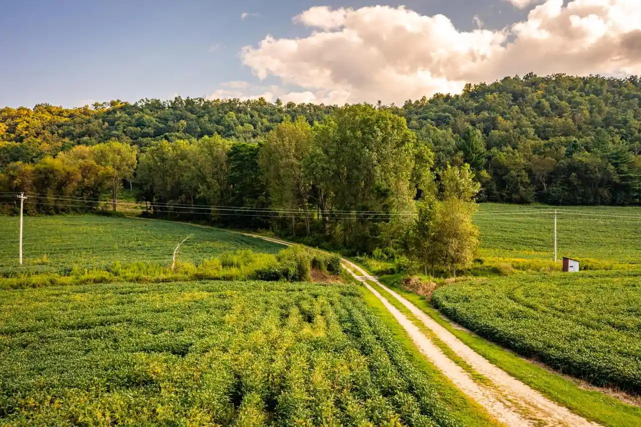 Photo 3 of Land for sale at 0 Cedar Valley Ln, Chaseburg, WI 54621 | MLS# 1979584 | Listing updated on 2026-09-19