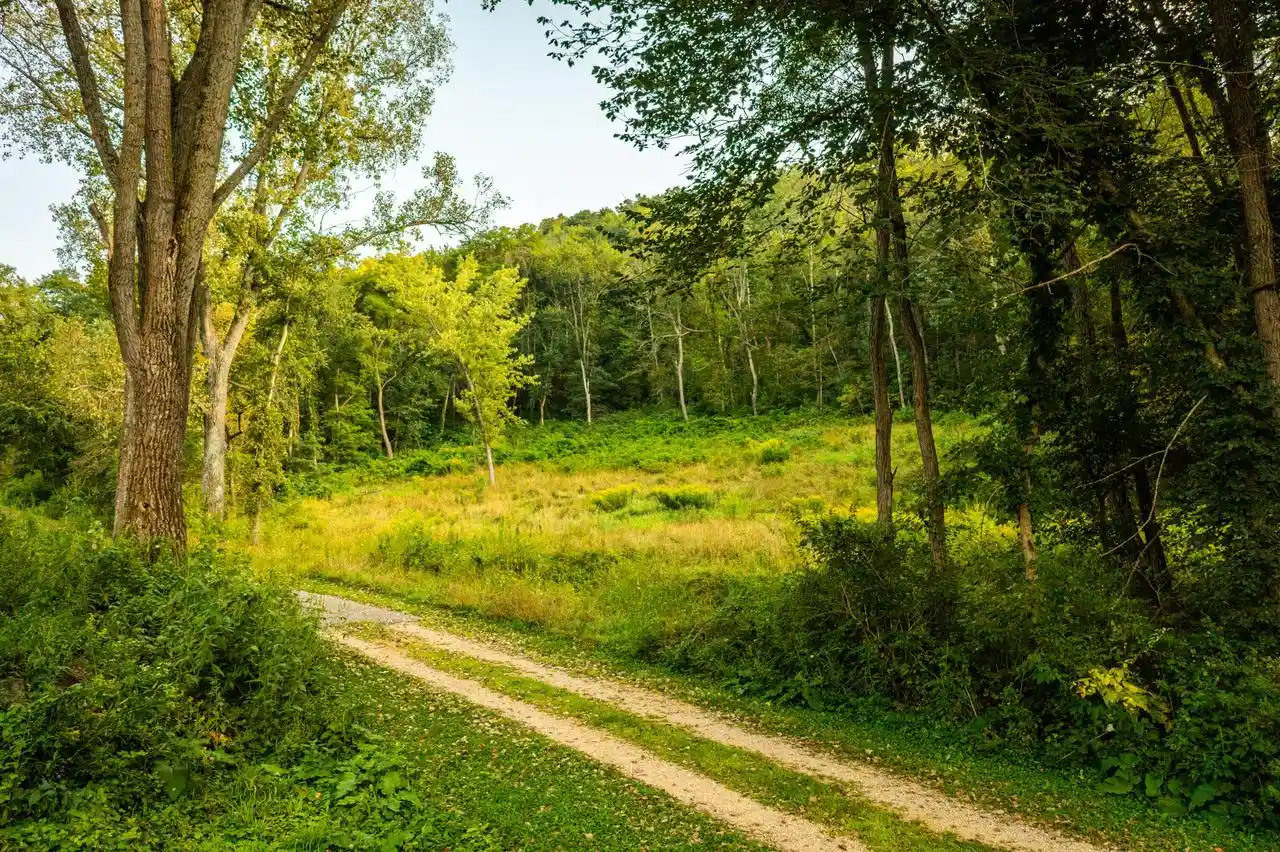 Photo 3 of Land for sale at 0 Cedar Valley Ln, Chaseburg, WI 54621 | MLS# 1979584 | Listing updated on 2026-09-19