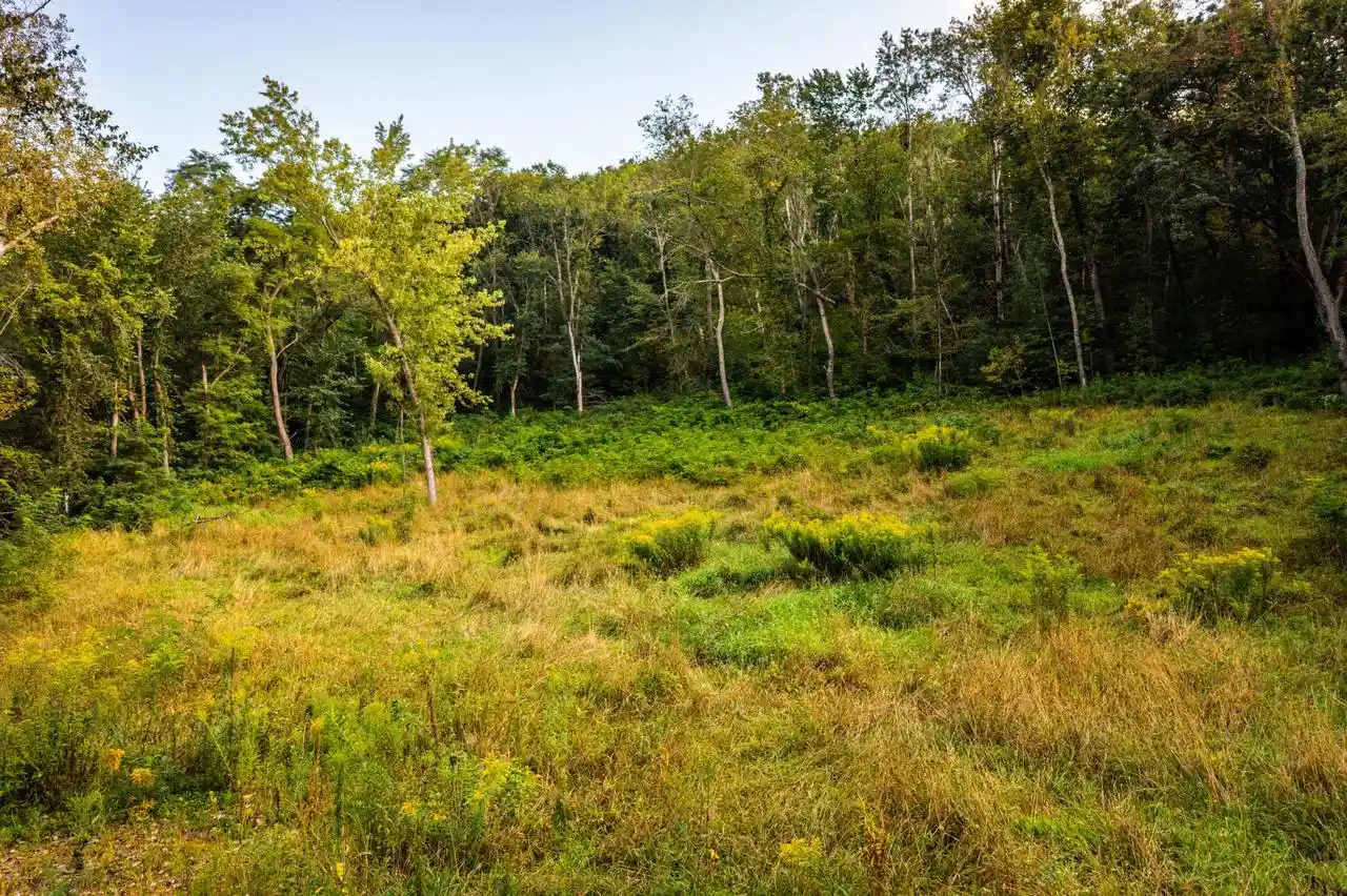 Photo 4 of Land for sale at 0 Cedar Valley Ln, Chaseburg, WI 54621 | MLS# 1979584 | Listing updated on 2026-09-19