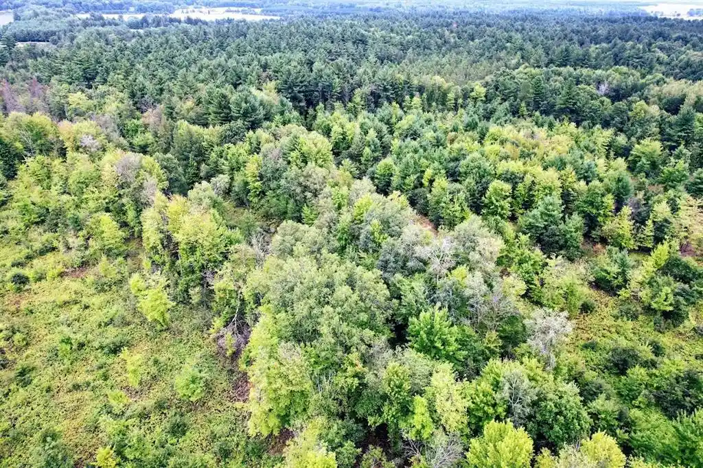 Photo 2 of Land for sale at Lot 3 State Hwy 64, Ridgeland, WI 54763 | MLS# 1604927 | Listing updated on 2026-09-22