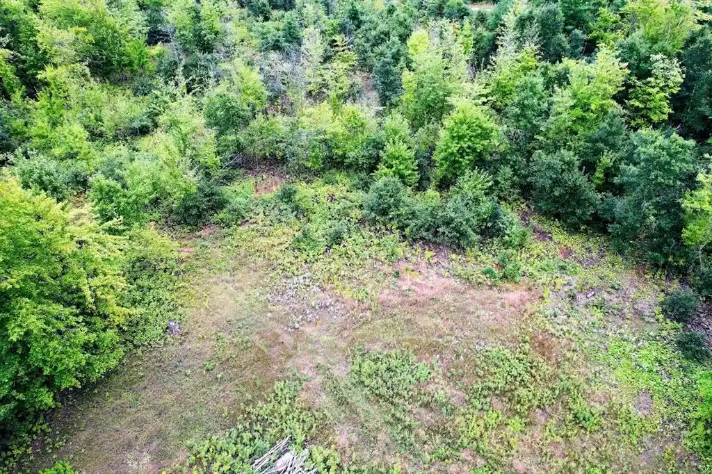 Photo 3 of Land for sale at Lot 3 State Hwy 64, Ridgeland, WI 54763 | MLS# 1604927 | Listing updated on 2026-09-22