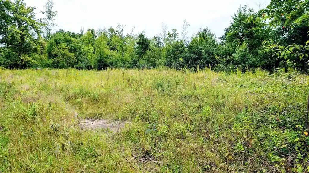 Photo 4 of Land for sale at Lot 3 State Hwy 64, Ridgeland, WI 54763 | MLS# 1604927 | Listing updated on 2026-09-22