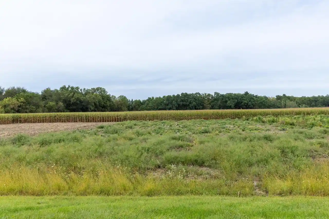 Photo 1 of Land for sale at Lot 7 Old Hwy 16, West Salem, WI 54669 | MLS# 1979601 | Listing updated on 2026-09-09