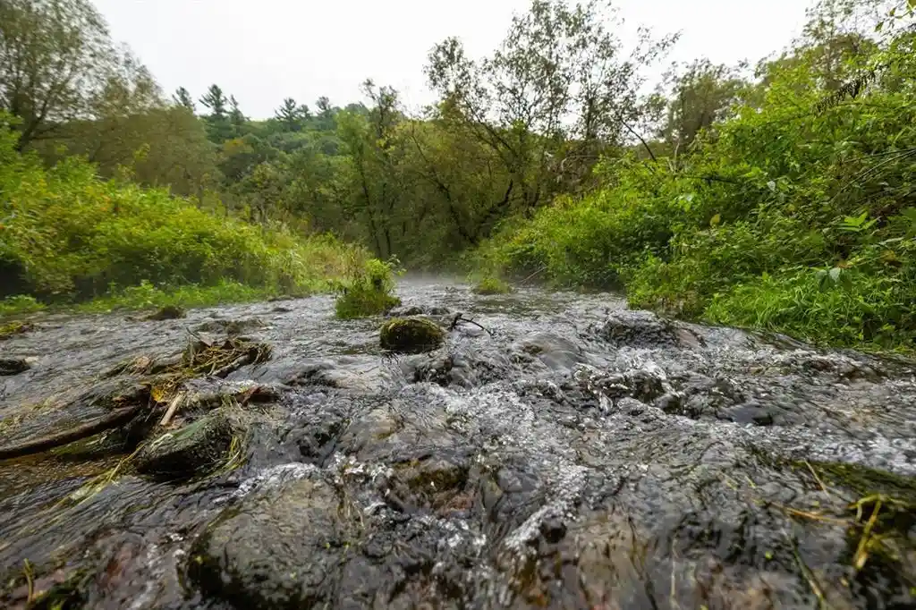 Photo 3 of Land for sale at 0 110th Street, Spring Valley, WI 54767 | MLS# 1604937 | Listing updated on 2026-09-24