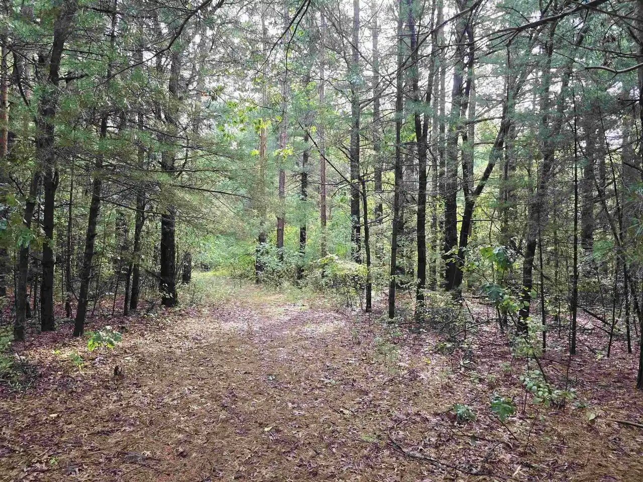 Photo 3 of Land for sale at N5178 5th Avenue, Plainfield, WI 54966 | MLS# 50332301 | Listing updated on 2026-10-05