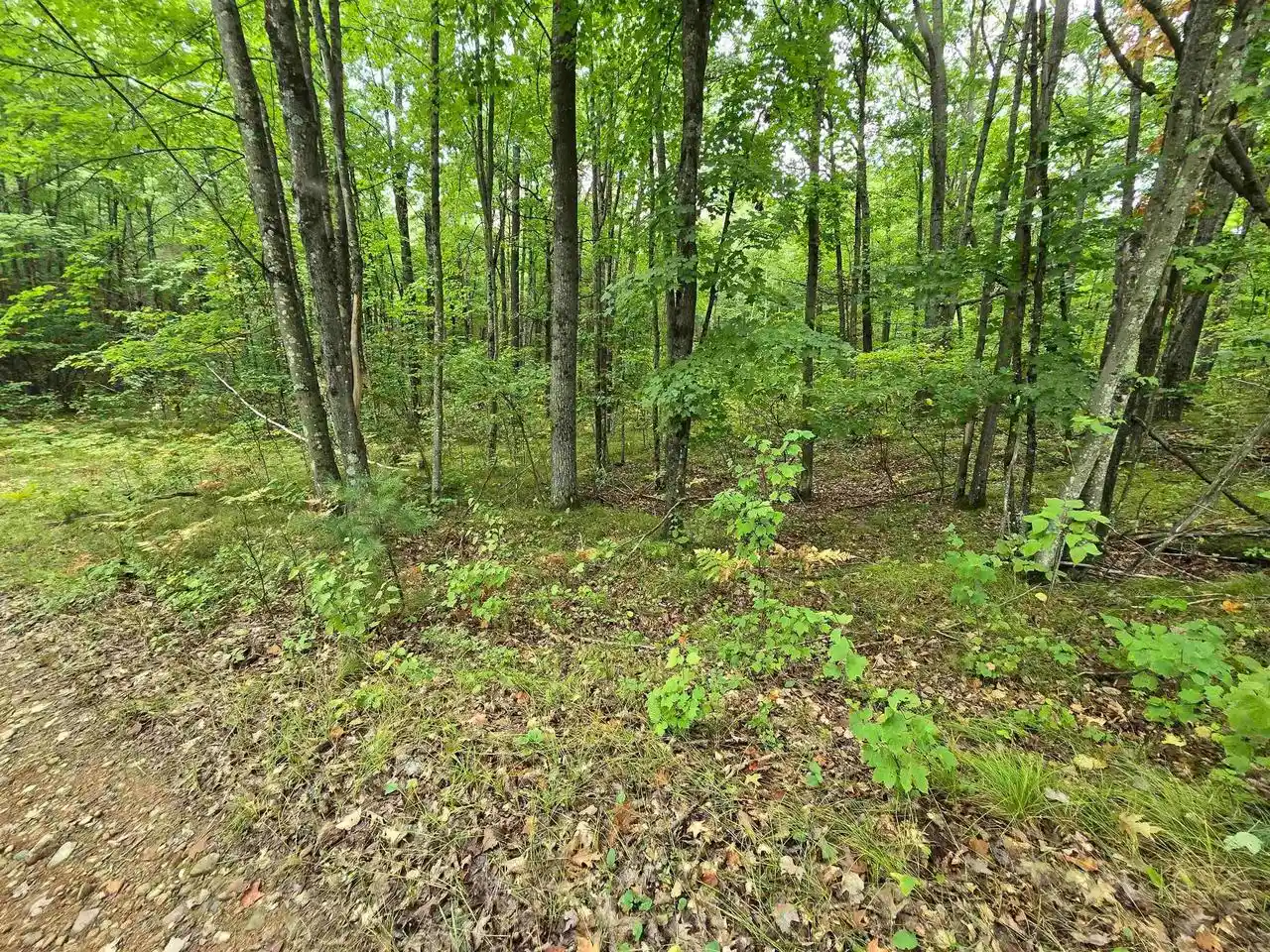 Photo 1 of Land for sale at Roush Rd, Wausaukee, WI 54177 | MLS# 50332305 | Listing updated on 2026-09-09