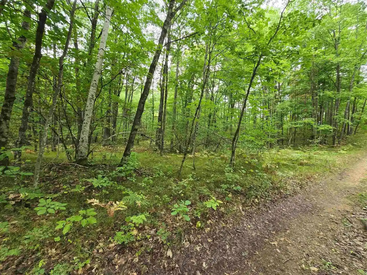 Photo 2 of Land for sale at Roush Rd, Wausaukee, WI 54177 | MLS# 50332305 | Listing updated on 2026-09-09