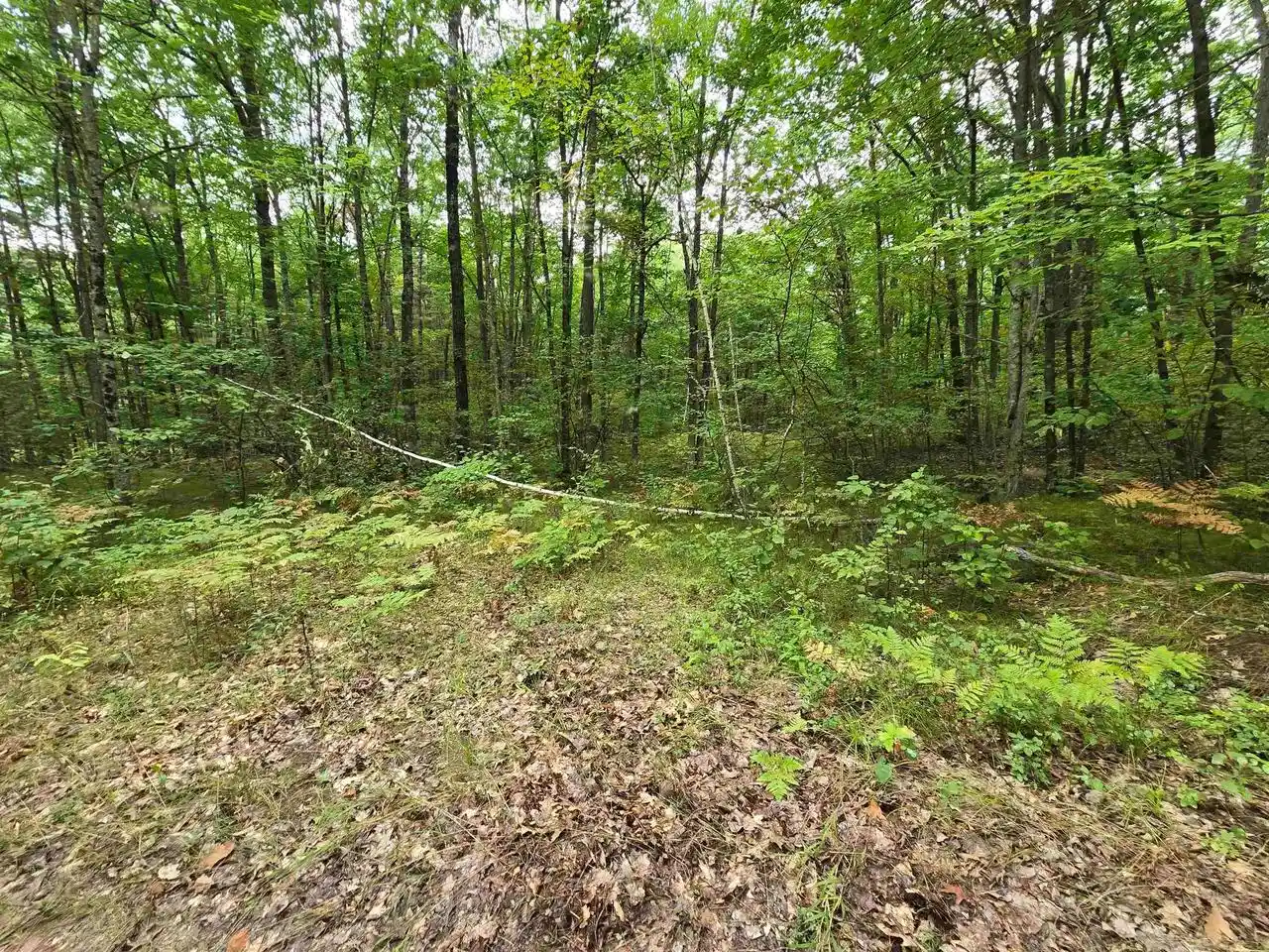 Photo 3 of Land for sale at Roush Rd, Wausaukee, WI 54177 | MLS# 50332305 | Listing updated on 2026-09-09