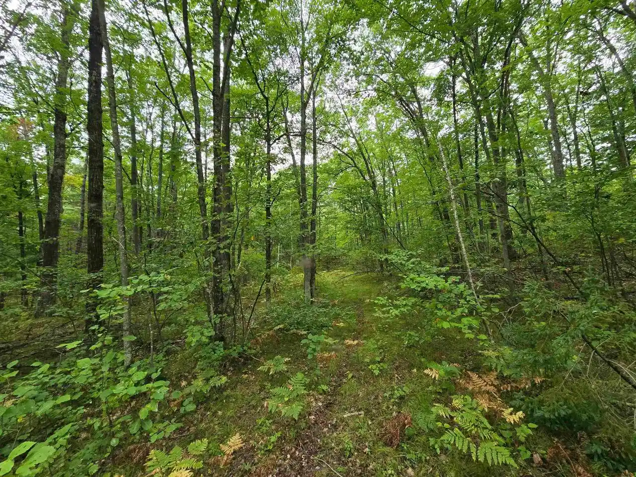 Photo 3 of Land for sale at Roush Rd, Wausaukee, WI 54177 | MLS# 50332305 | Listing updated on 2026-09-09