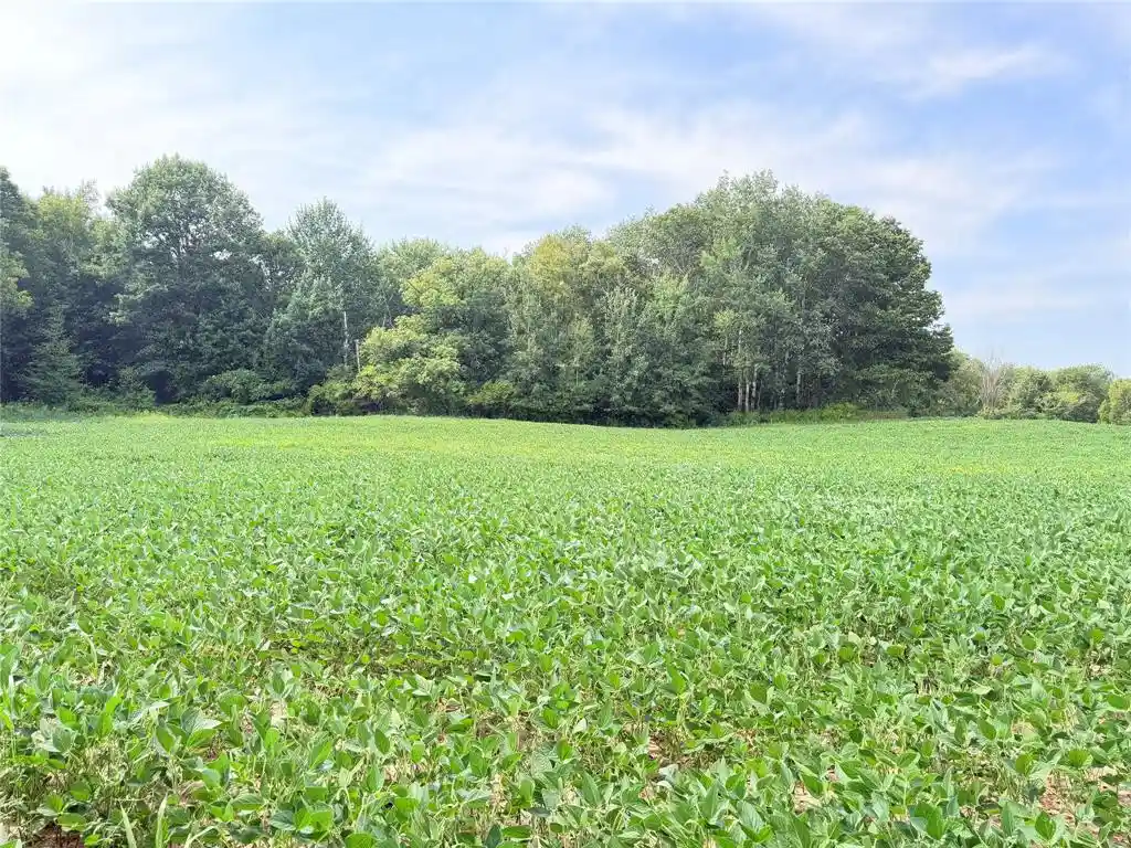 Photo 1 of Land for sale at 0 230th Street, St Croix Falls, WI 54024 | MLS# 1604816 | Listing updated on 2026-09-11