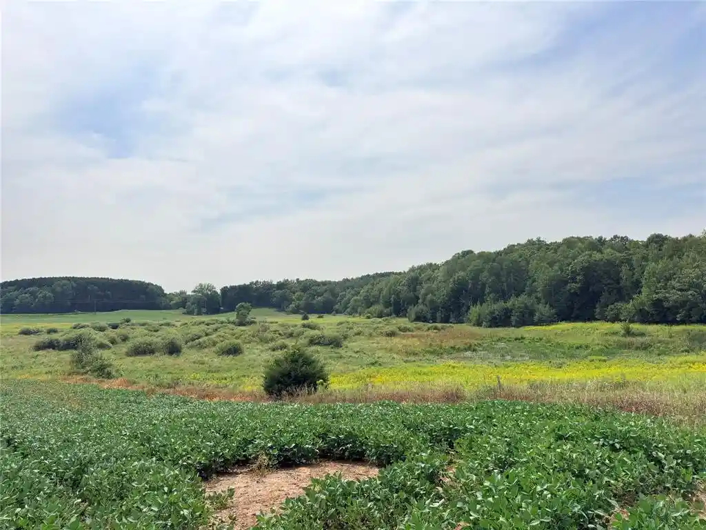 Photo 2 of Land for sale at 0 230th Street, St Croix Falls, WI 54024 | MLS# 1604816 | Listing updated on 2026-09-11