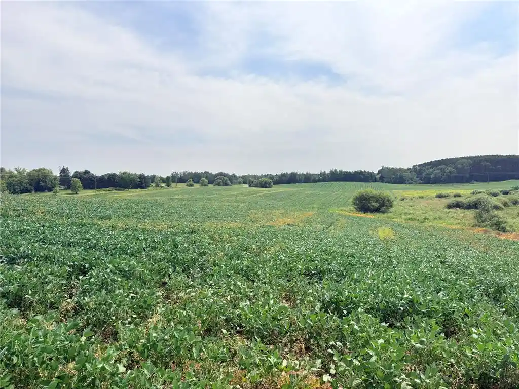 Photo 3 of Land for sale at 0 230th Street, St Croix Falls, WI 54024 | MLS# 1604816 | Listing updated on 2026-09-11