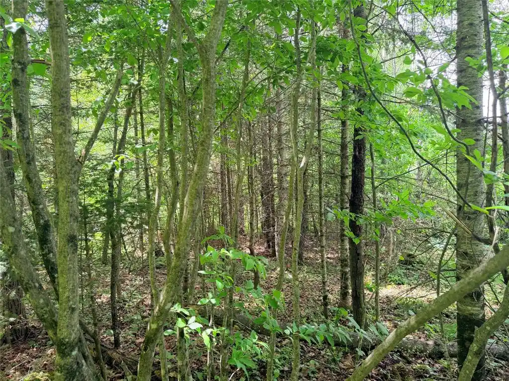 Photo 2 of Land for sale at 0 Boat Landing Rd, Ladysmith, WI 54848 | MLS# 1604813 | Listing updated on 2026-09-11