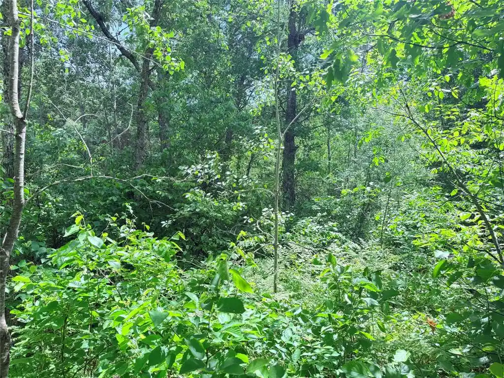 Photo 3 of Land for sale at 0 Boat Landing Rd, Ladysmith, WI 54848 | MLS# 1604813 | Listing updated on 2026-09-11