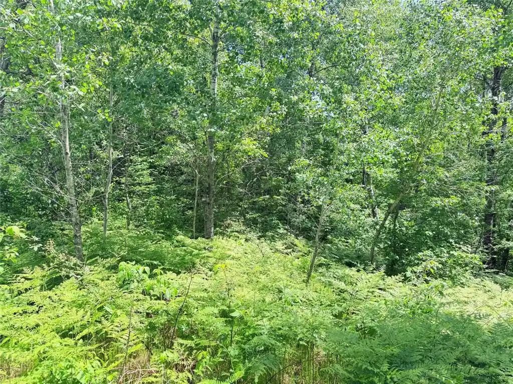 Photo 3 of Land for sale at 0 Boat Landing Rd, Ladysmith, WI 54848 | MLS# 1604813 | Listing updated on 2026-09-11