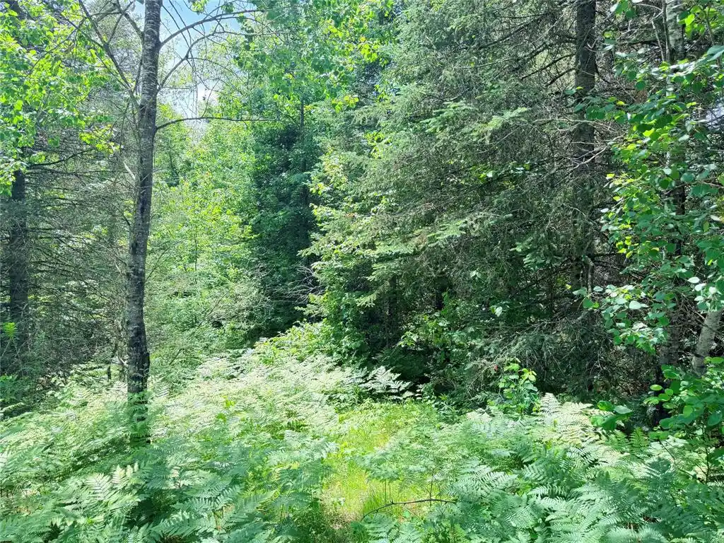 Photo 4 of Land for sale at 0 Boat Landing Rd, Ladysmith, WI 54848 | MLS# 1604813 | Listing updated on 2026-09-11