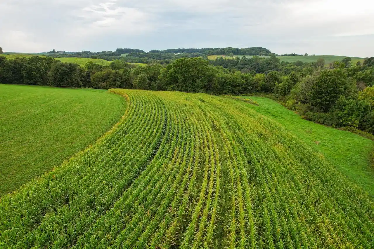 Photo 3 of Land for sale at 000 Cty Rd Ff, Wonewoc, WI 53968 | MLS# 2032239 | Listing updated on 2026-09-08