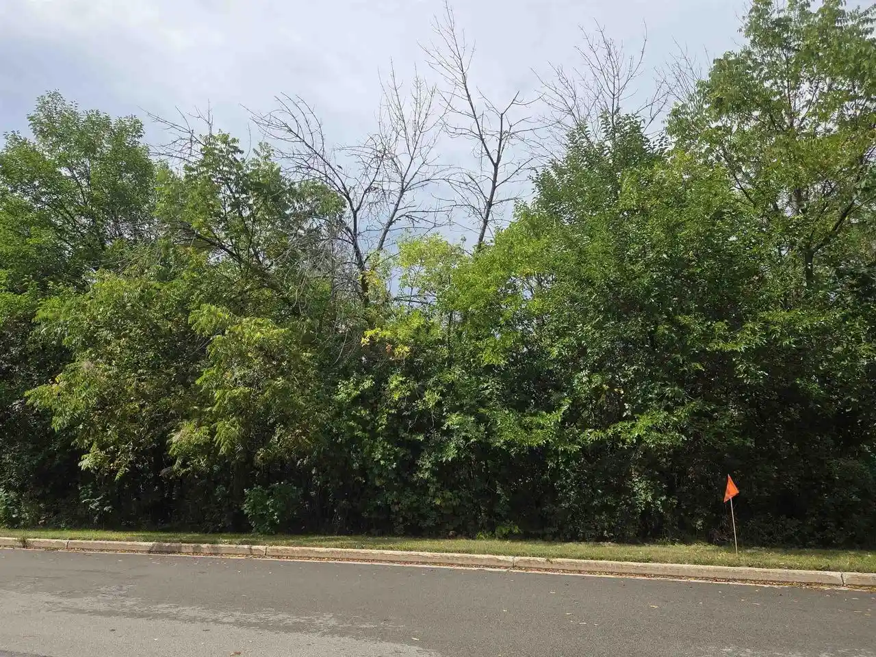 Photo 2 of Sale Pending at Lot N 49 High St, Mayville, WI 53050 | MLS# 2032244 | Listing updated on 2026-09-17