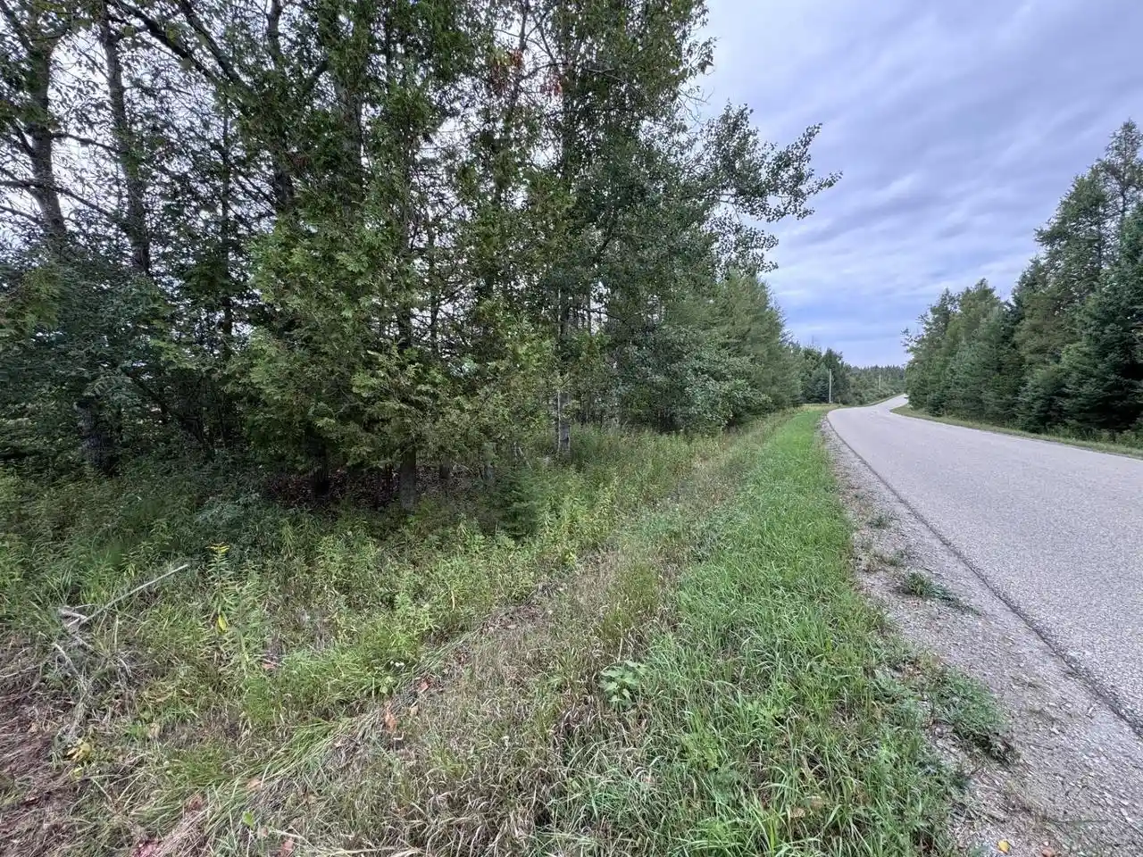 Photo 2 of Land for sale at N6533 Miles Rd, Porterfield, WI 54159 | MLS# 50332323 | Listing updated on 2026-09-09