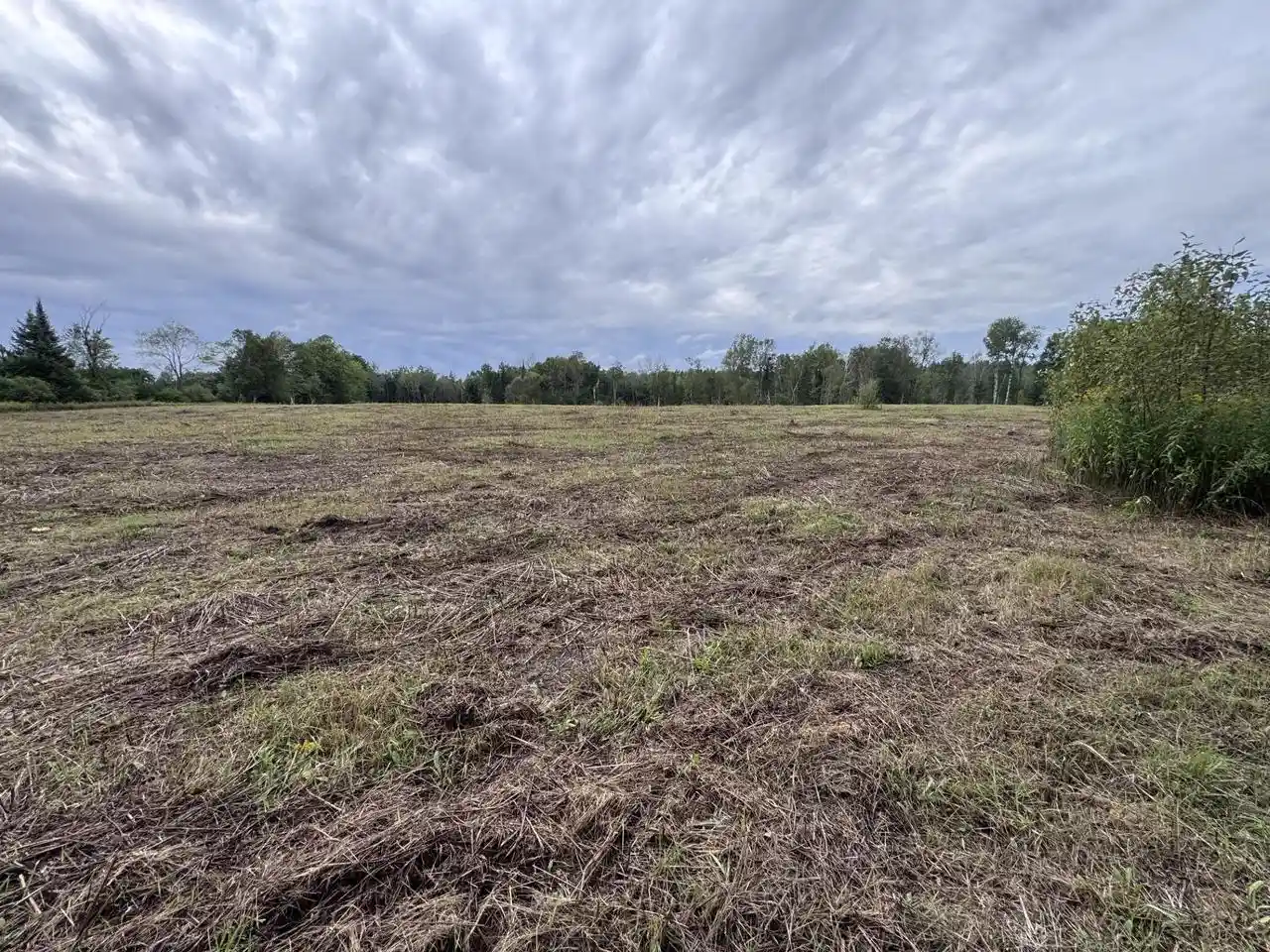 Photo 3 of Land for sale at N6533 Miles Rd, Porterfield, WI 54159 | MLS# 50332323 | Listing updated on 2026-09-09