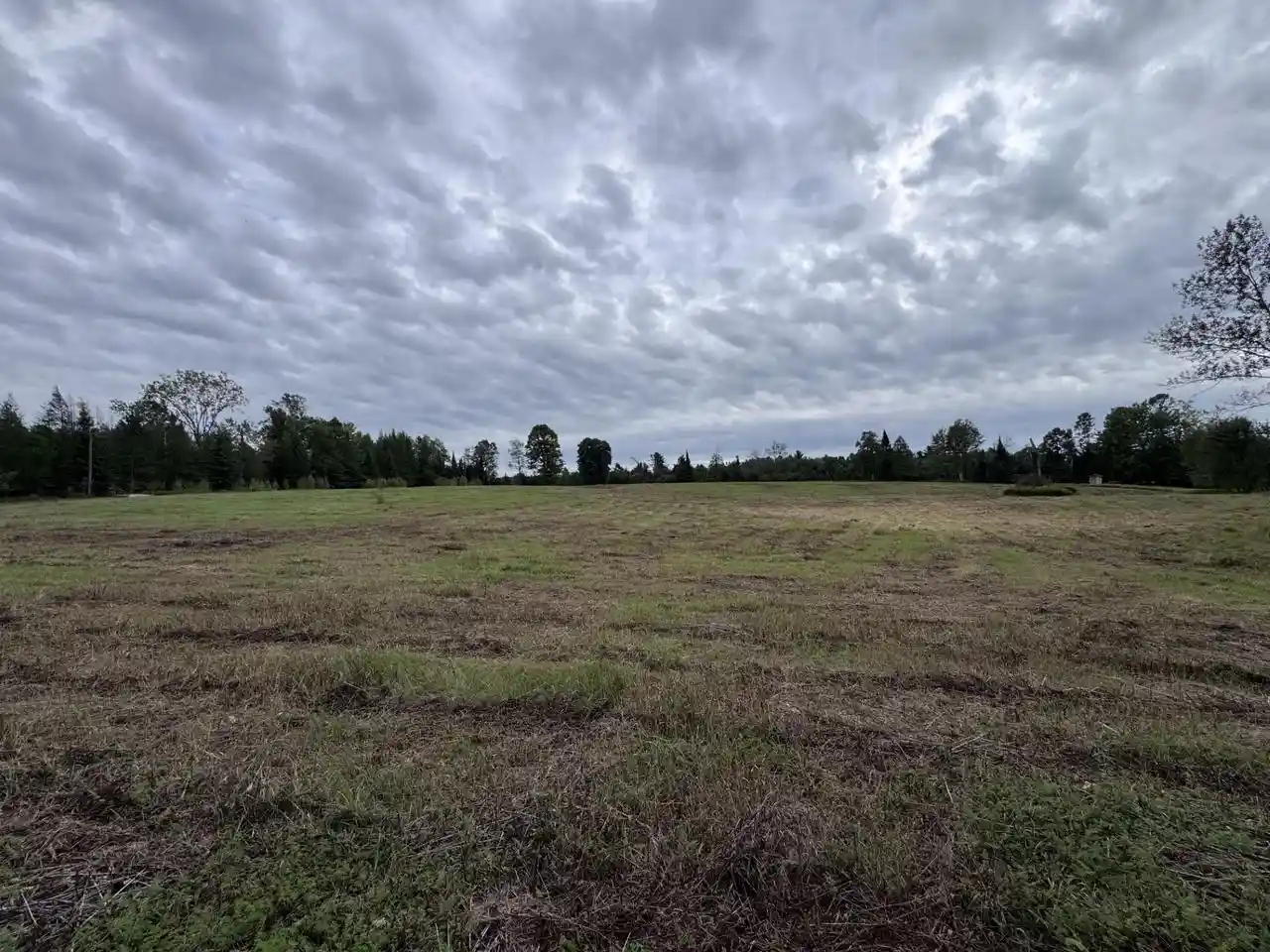 Photo 4 of Land for sale at N6533 Miles Rd, Porterfield, WI 54159 | MLS# 50332323 | Listing updated on 2026-09-09