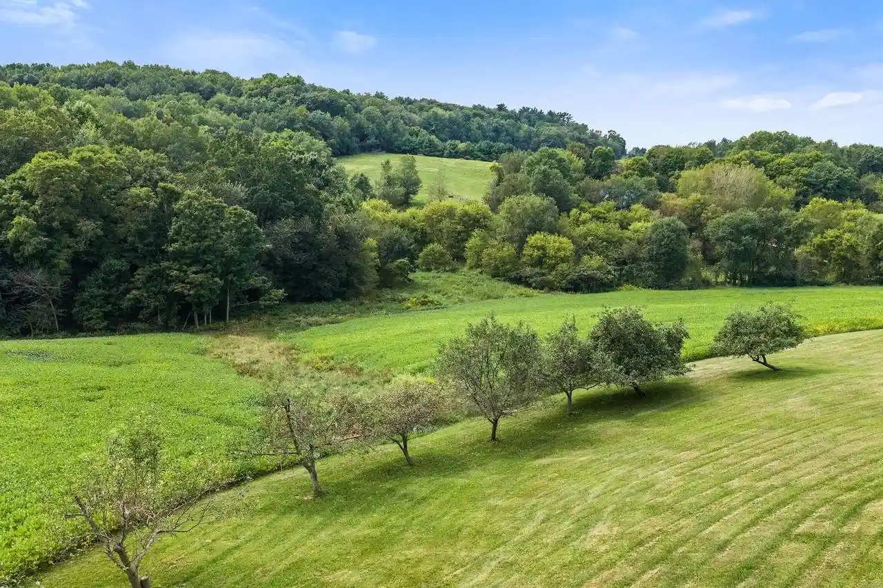 Photo 2 of Single family home for sale at S2419 Santas Loop Rd, Wonewoc, WI 53968 | MLS# 2032267 | Listing updated on 2026-09-23