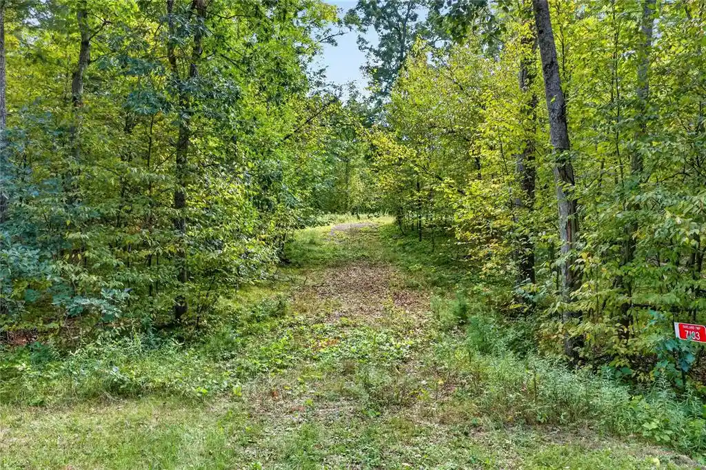 Photo 1 of Land for sale at 7183 Fremsted Rd, Danbury, WI 54830 | MLS# 1604943 | Listing updated on 2026-09-09