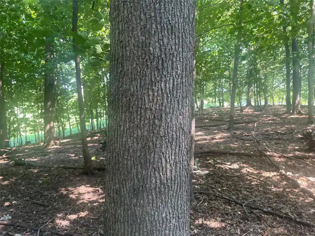 Photo 4 of Land for sale at Tbd 190th Street, Centuria, WI 54824 | MLS# 1604947 | Listing updated on 2026-10-13